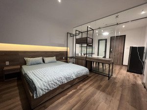 cho thuê căn hộ quận 1 dạng 1pn full nội thất đẹp ấm áp