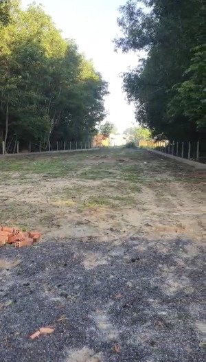 bán 988m2 đất vườn 1/ hùng vương xã phước an, có 240m thổ cư