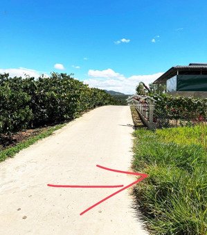 bán 1.679m2 đất vườn có thổ cư tại tân hà, lâm hà, view đẹp