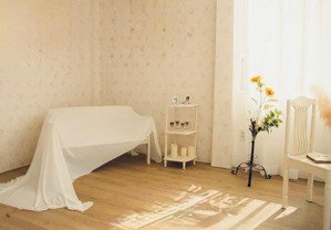 biệt thự đất vàng bắc hải lý thường kiệt giáp quận 10 quỹ nhà hiếm - 300m2 - nở hậu