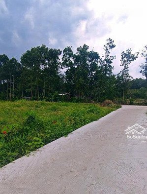 chính chủ cần bán 1 sào đất thổ cư giá 1.74 tỷ còn thương lượng