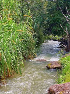 đất vườn giá rẻ sẵn vườn trái cây đẹp thuộc xã la ngà, định quán, đồng nai