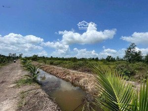 đất vườn, thủ thừa, vị trí cách lộ nhựa 818 400m, đất đang trồng dừa