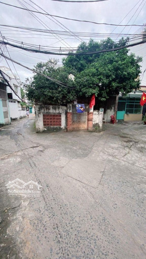 bán nhà cấp 4: nở hậu 6.2 x 21 (103m2 xây chdv & khách sạn)