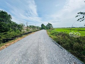 bán đất xã thái mỹ củ chi | dt lớn 4.200m2 ngộp bank - chỉ 5 tỷ x