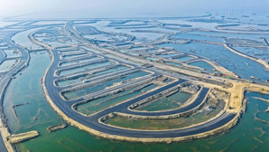 cần giờ sắp đổi vận? dự án vinhomes green paradise khiến cả thị trường bắt đầu xôn xao liên hệ ngay