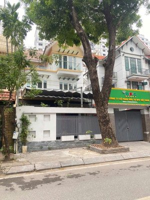 cho thuê biệt thự bùi xuân phái - mỹ đình. dt 200m2, 3 tầng, mt 10m, vị trí đỉnh. giá rẻ nhất khu