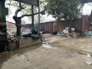 bán nhanh lô đất thổ cư đường liên xã tân trạch 10000m2 giá 32 tỷ thoải thuận, chuyển tiền 1 lần