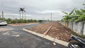 tại sao nên mua đất minh đức đồ sơn?