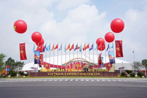 đất giá tốt mai lâm, đông anh, hà nội thôn thái bình mai lâm cũ . giá 3.2 tỷ. 52m