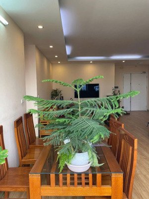 chính chủ bán căn hộ chung cư đại kim building - đường trần hòa , sổ đỏ chính chủ