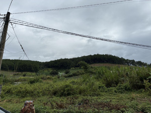 bán đất đẹp xuất sắc tại thị trấn nam ban, 700 triệu, 135m2