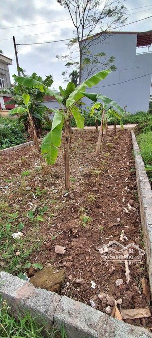 đất đấu giá biên giang 64m gần ql6 giá 5,6 tỷ