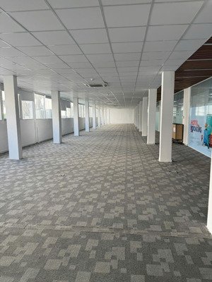 sàn rộng 250m2 trống tầng 1 và 3 - giá thuê 81tr/th free pql