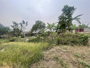 720 triệu sở hữu 360m² đất cạnh vin cổ loa hiếm!