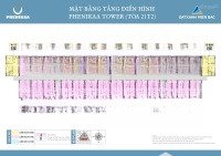 chung cư phenikaa tower đón sóng hạ tầng metro số 5 khởi công 19/12; cách metro chỉ 150m