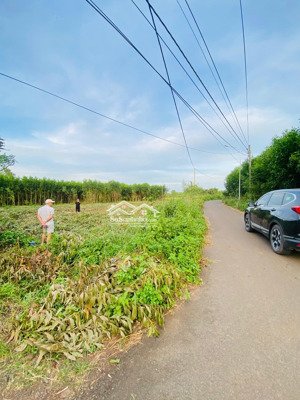 bán đất 140m2 tại xã đá bạc, châu đức, bà rịa vũng tàu, giá tốt uy tín