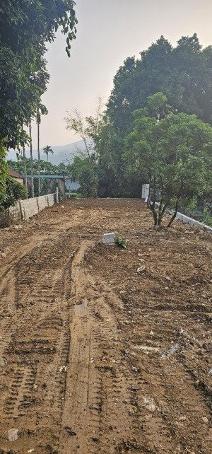 303m 80m thổ cư mặt tiền 7,35m bám chục đường chính liên huyện tại đồi miếu