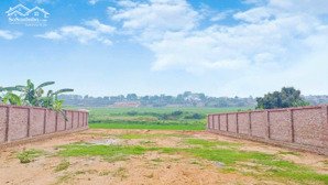 chính chủ cần bán 598m/100m thổ cư view cánh đồng đầu tư hay nghỉ dưỡng cũng rất tốt tại phú cát,hn