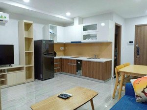 cho thuê căn hộ biconsi tower, diện tích 50m2, 1 phòng ngủ 1wc full nội thất