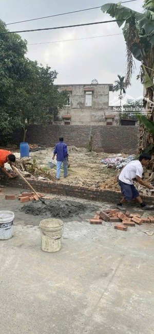 chính chủ cần thanh khoản gấp cho con đi du học tại mỹ. tại làng đồng giá, xã thanh xuân, sóc sơn