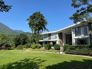 cắt lỗ lô đất 101m2 nhỉnh 2,5 tỷ trung tâm lõi hoà lạc sẵn sổ đỏ