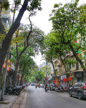 mặt phố hàng trống - đẳng cấp giới tính hoa - trung tâm hồ hoàn kiếm - giá chỉ hơn 900 triệu / m2