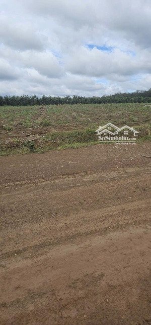 đất ngay đường tuyến 2 xã tân lợi, shr