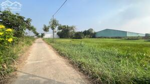 nền thổ cư mặt tiền đường 30/4 xã hướng thọ phú