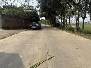 bán 203m2 tại thôn đình- thanh vân, ngay cạnh ql2c, gần trường, chợ, trung tâm mọi tiện ích