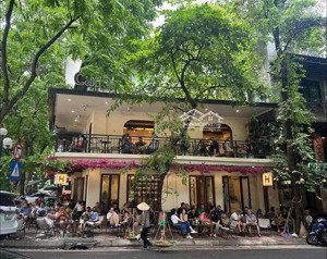 siêu đẹp! cho thuê mbkd phố hàng than, dt: 120m2, mt: 20m. giá 120tr/tháng