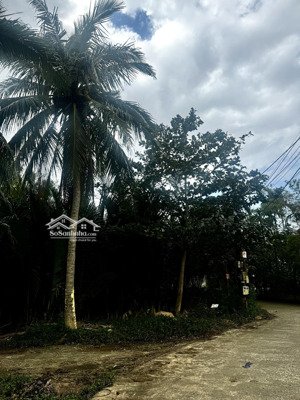 chính chủ cần bán lô đất view dừa gần ngay đường trần nhân tông