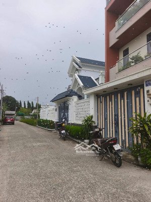 bán đất tại bông văn dĩa, tân kiên, bình chánh, hcm, 4 tỷ, 91 m2 hot!