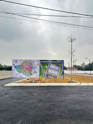 100m mặt tiền 6m đồng trạng, cổ đông cắt lỗ cho ai thiện chí trong tuần liên hệ ngay