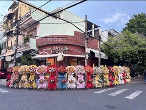 hiếm! bán nhanh lô đất thổ cư nguyễn cư trinh, trung tâm hải châu, giá cực tốt đầu tư chỉ 8,6 tỷ