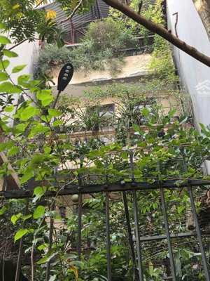 bán nhà lạc long quân, an sinh đỉnh, 110m2, giá 23.8 tỷ