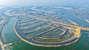 vinhomes green paradise: điều gì khiến cần giờ bước sang một chương mới?