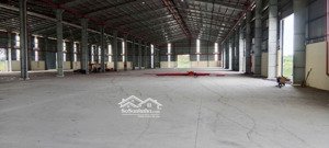 cho thuê kho xưởng 4.000m2 - 8.000m2, thạnh hóa, long an, pccc tự động, giá thuê: 75k/m2