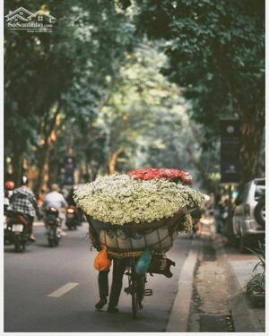  CHO THUÊ 3 TẦNG NHÀ MẶT ĐƯỜNG DƯ HÀNG - NGÃ 3 CHỢ CỘT ĐÈN