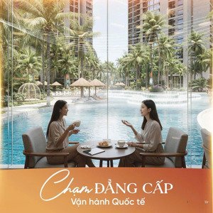 alluvia city món quà sức khỏe ý nghĩa dành tặng cha mẹ