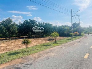 bán đất sỗ sẵn, tổng 253m2 có 100m2 tc. mặt tiền đường nhựa thông. gần trường hoc và chợ...