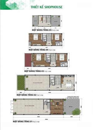 cơ hội vàng khi mua shophouse 5 tầng mặt tiền đường 50m kđt phú mỹ được ưu đãi giá lên đến 200triêu