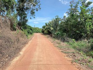 bán khoảng hơn 1 mẫu 8 (18.446m2) đất xã sông xoài, thị xã phú mỹ, brvt. giá 20,5 tỷ.