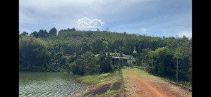 rẫy view hồ tự nhiên giá rẻ, nguồn thu mạnh, oto vào tận nơi, đông dân cư