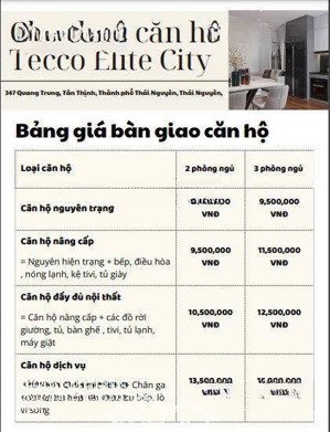 với 500 triệu đầu tư căn hộ tại tecco elite thịnh đán