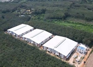 cho thuê xưởng bộ vàng giá rẻ xưởng mới pháp lý đầy đủ