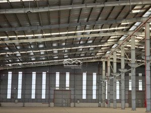 cho thuê kho xưởng 5.000m2 - 10.000m2, trong cụm cn cần đước, long an, pccc tự động