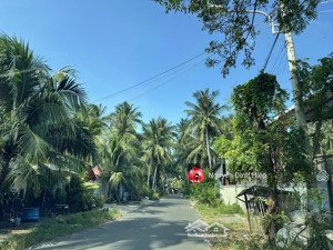 bán 2000m2 thổ cư lô góc đường trần bình trọng, thiện nghiệp vị trí đẹp ngay ngã tư 715