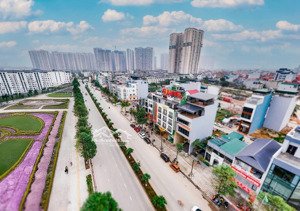 siêu hiếm! bán đất dịch vụ đồng mới, an thọ, dt 150m2 - 187m2, mt 14.5m trục 40m thông vinsmart