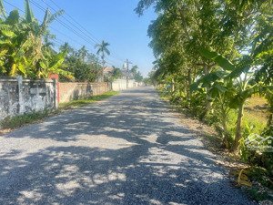 bán lô đất thụy sơn, thái thụy vị trí thuận lợi, tiềm năng sinh lời cao, giá tốt đầu tư